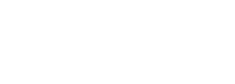 Logo de AutoNation